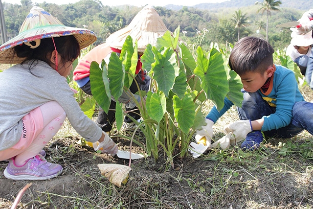 13663_5f168dbc1be71內文5.jpg 13663_5f168dbc1be71內文5.jpg